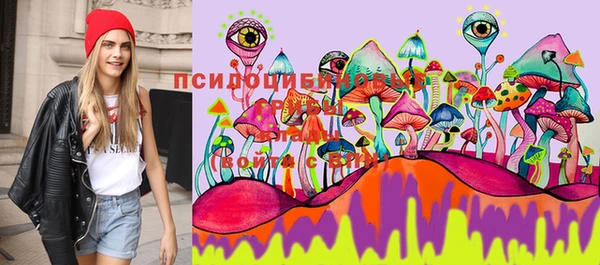 первитин Зерноград