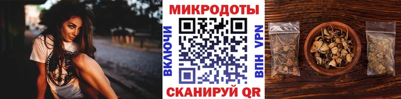 Купить закладки  Губкинский  Галлюциногенные грибы Psilocybe 
